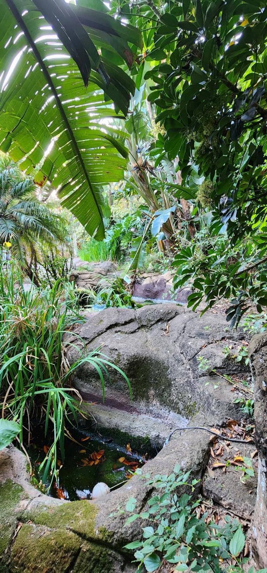 Bali At Scenic Haven Lodge In هارتبيسبورت المظهر الخارجي الصورة